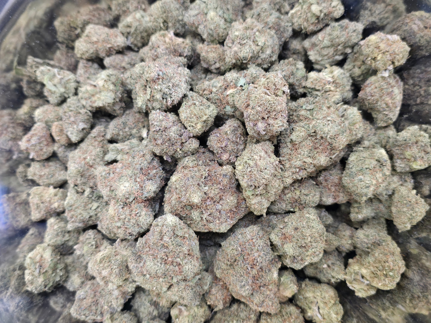 Pink Berry AAAA+
