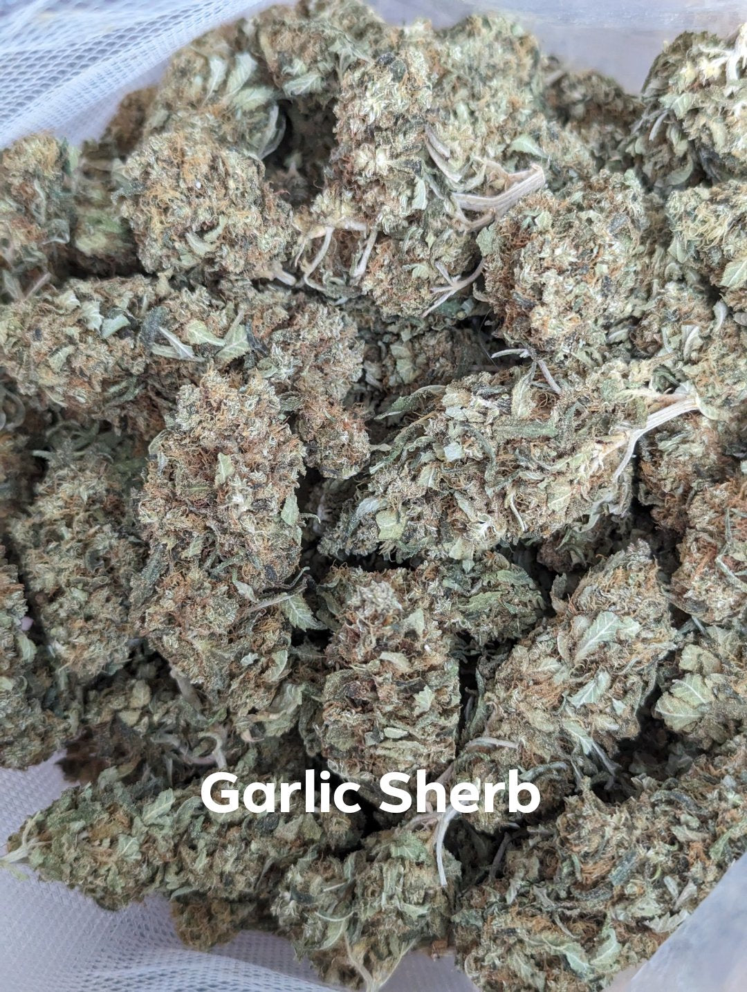 Garlic Sherb
