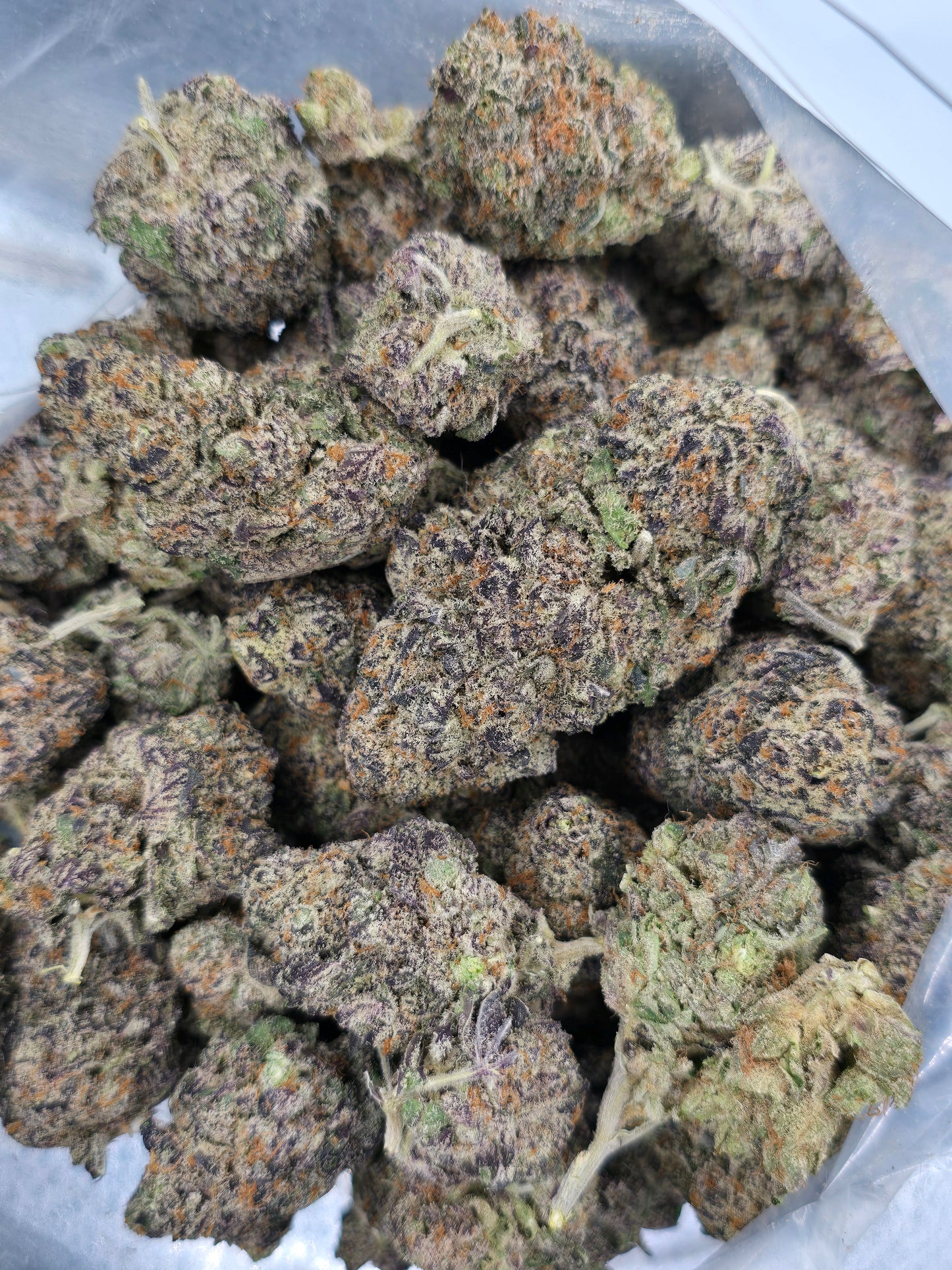 CRAFT QUAD BURT REYNOLDS 🔥
