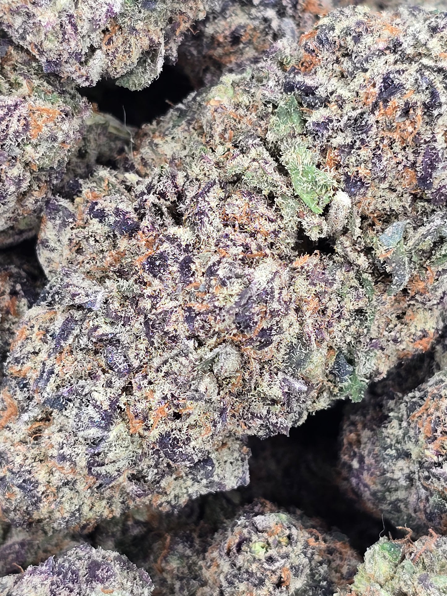 CRAFT QUAD BURT REYNOLDS 🔥