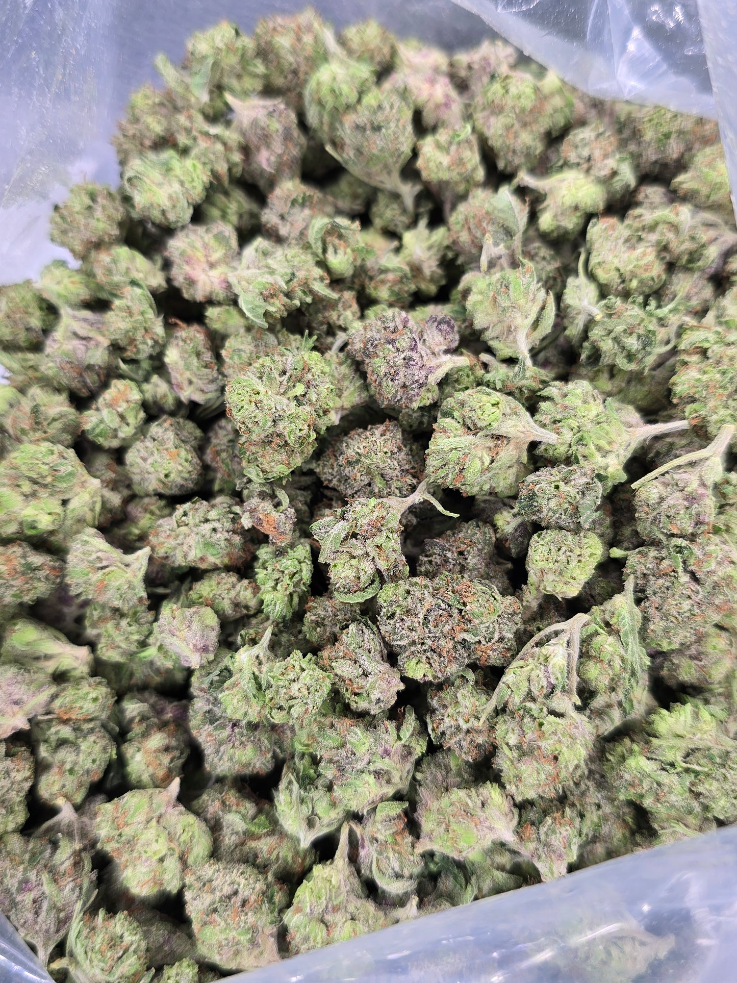 Pink Rockstar smalls