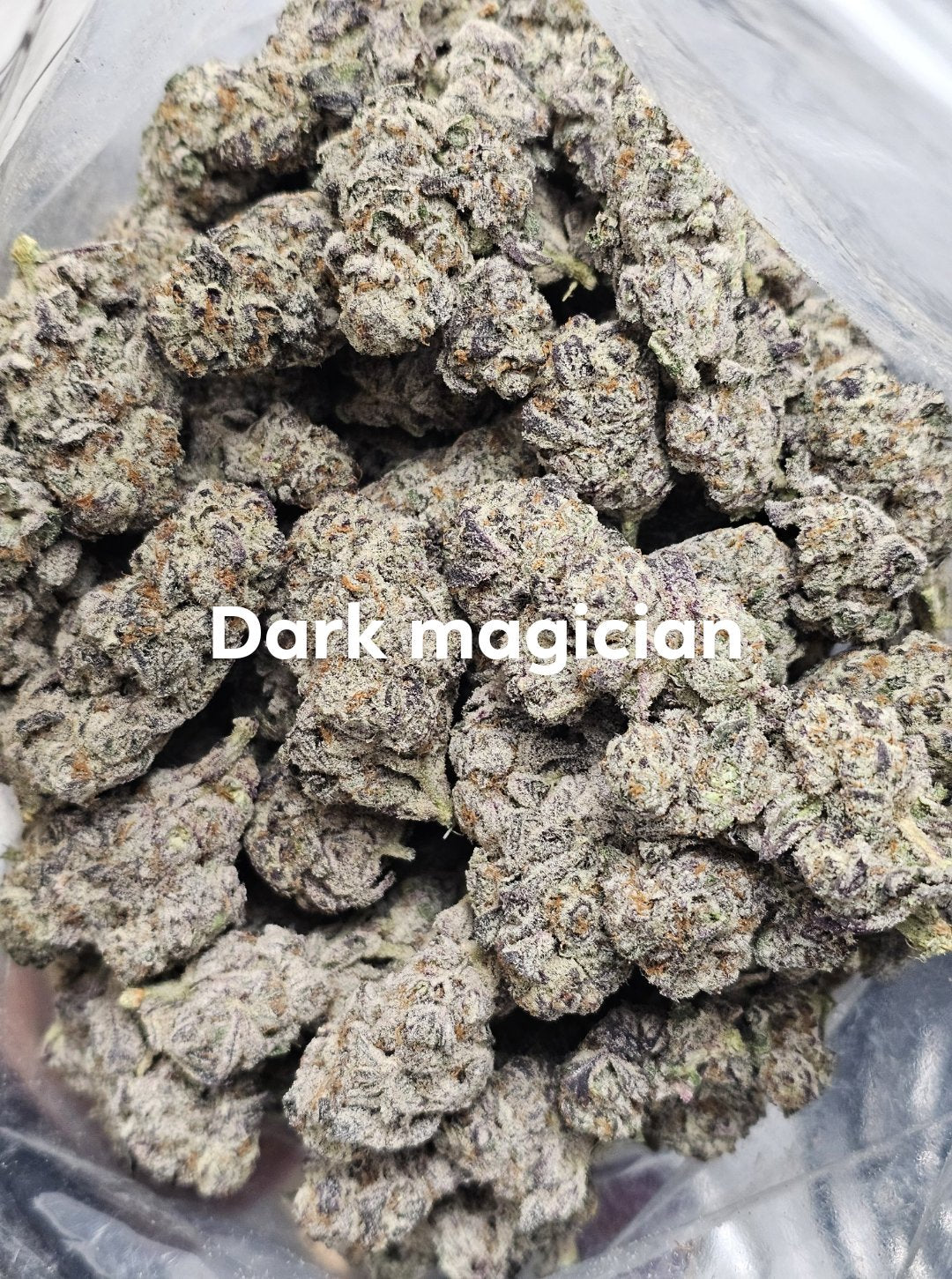 AAAA Dark Magician