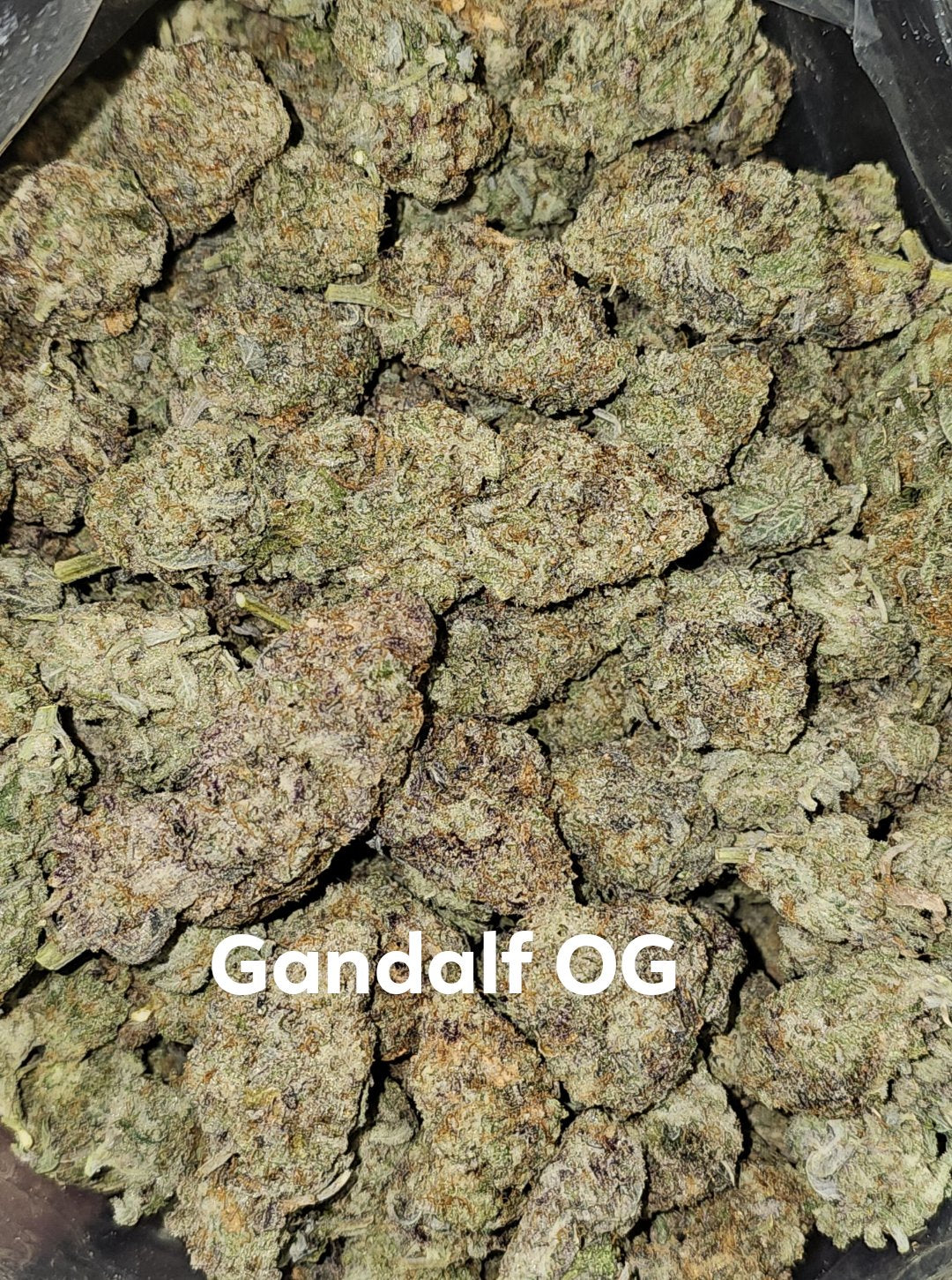 AAA+ Gandalf OG