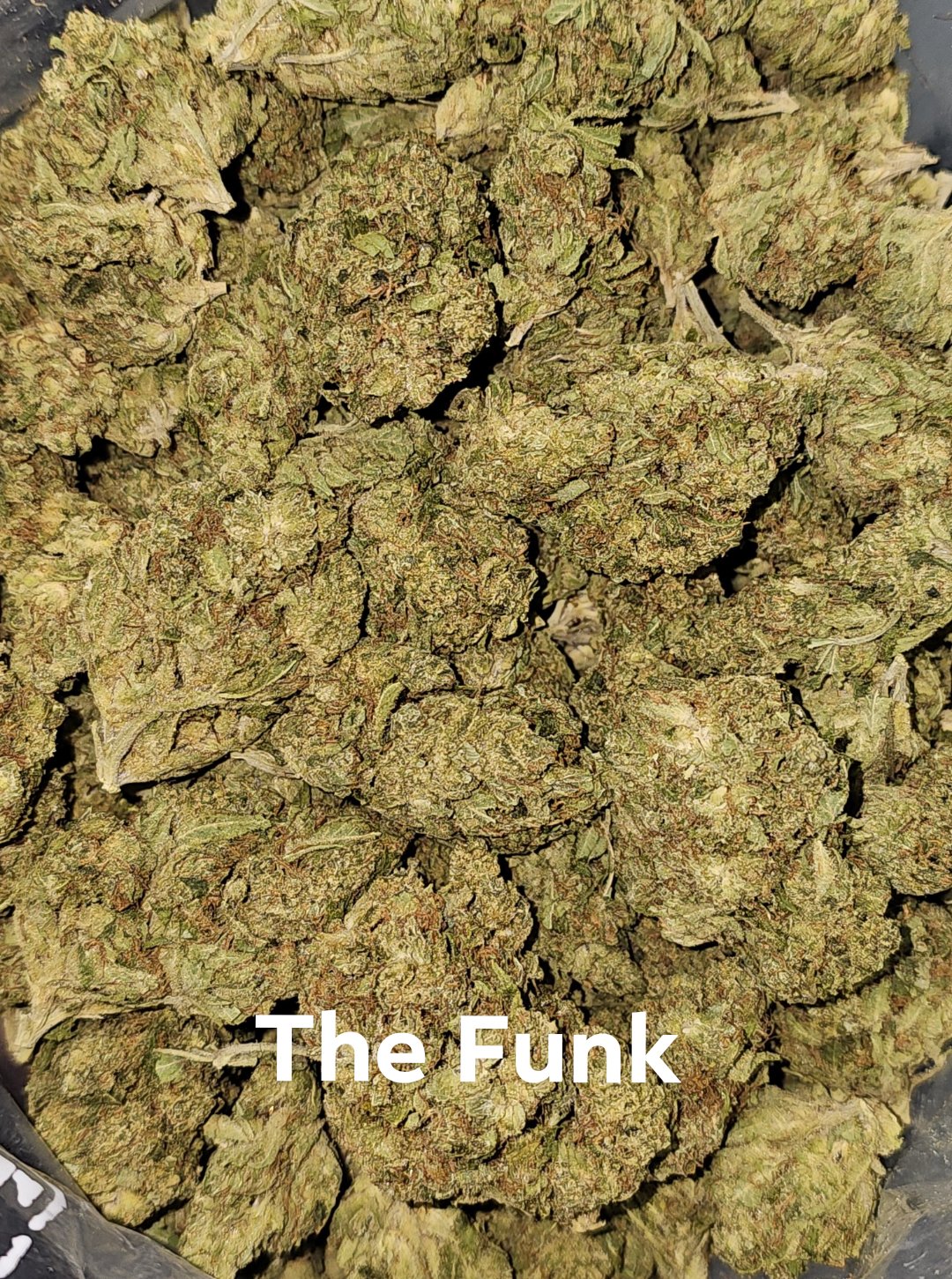 AAA- The Funk