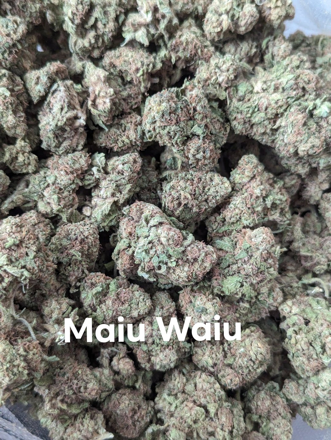 AAA Maui Waui