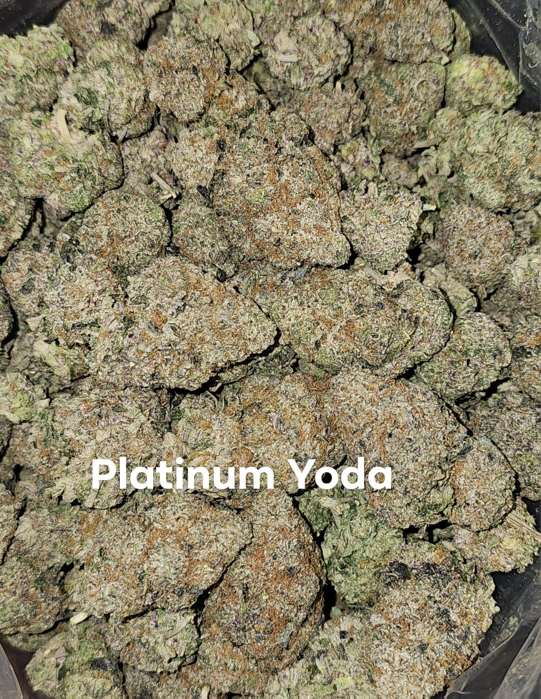AAAA+ Platinum Yoda