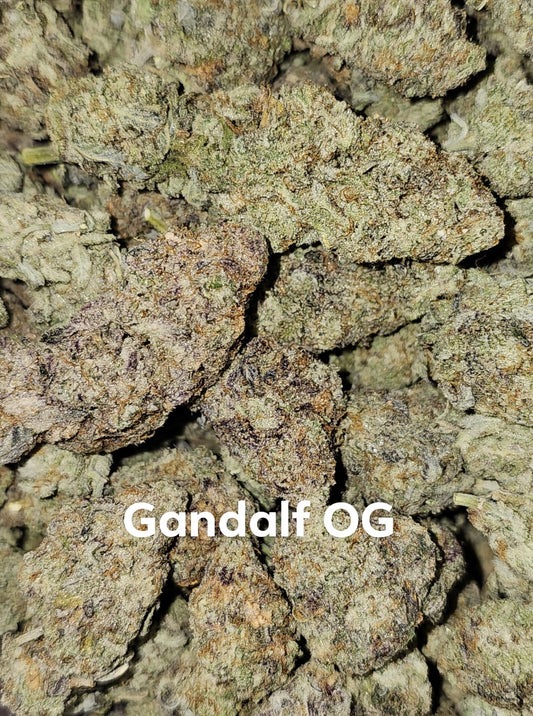 AAA+ Gandalf OG