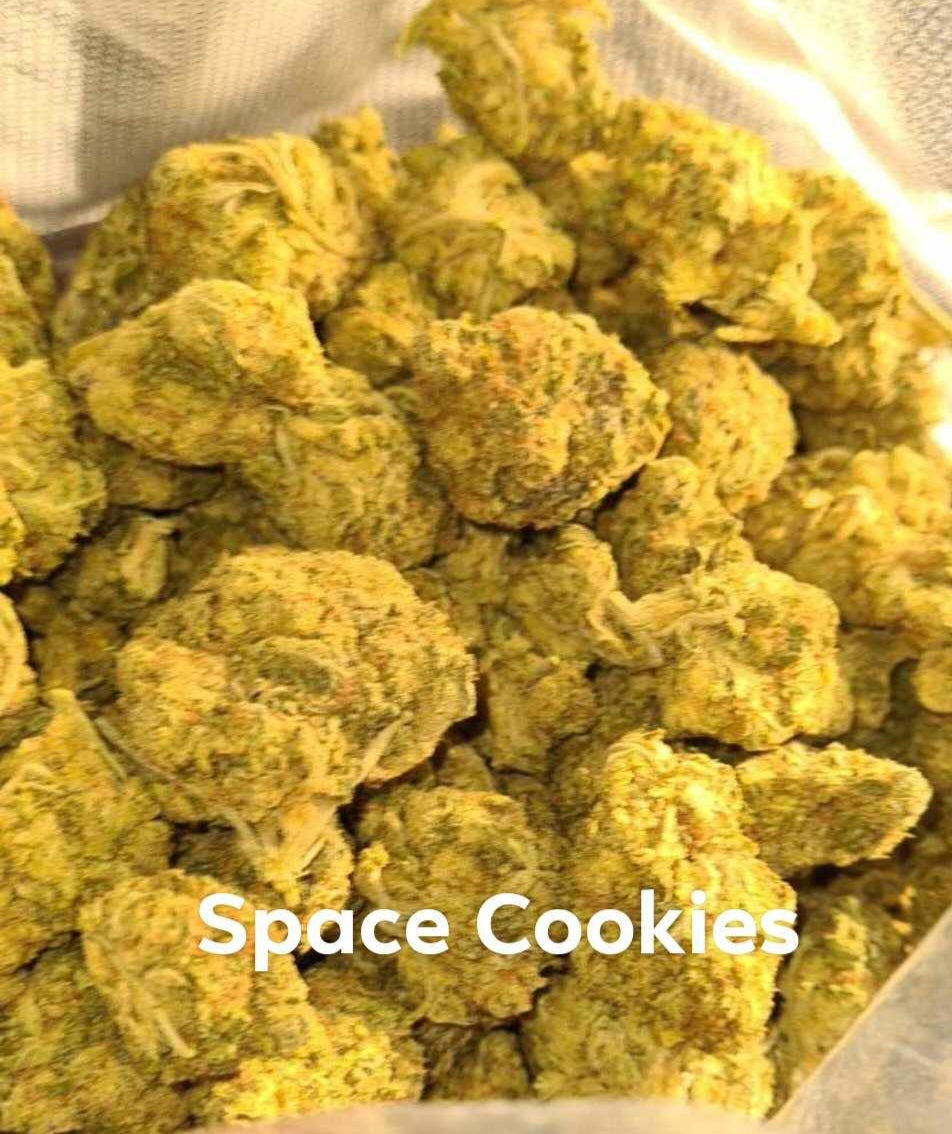 Space Cookies