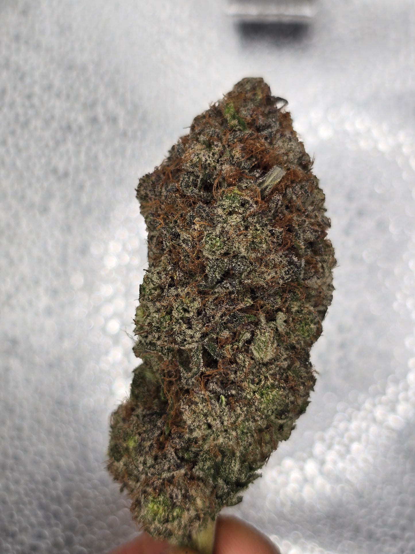 Pink Berry Kush 🔥