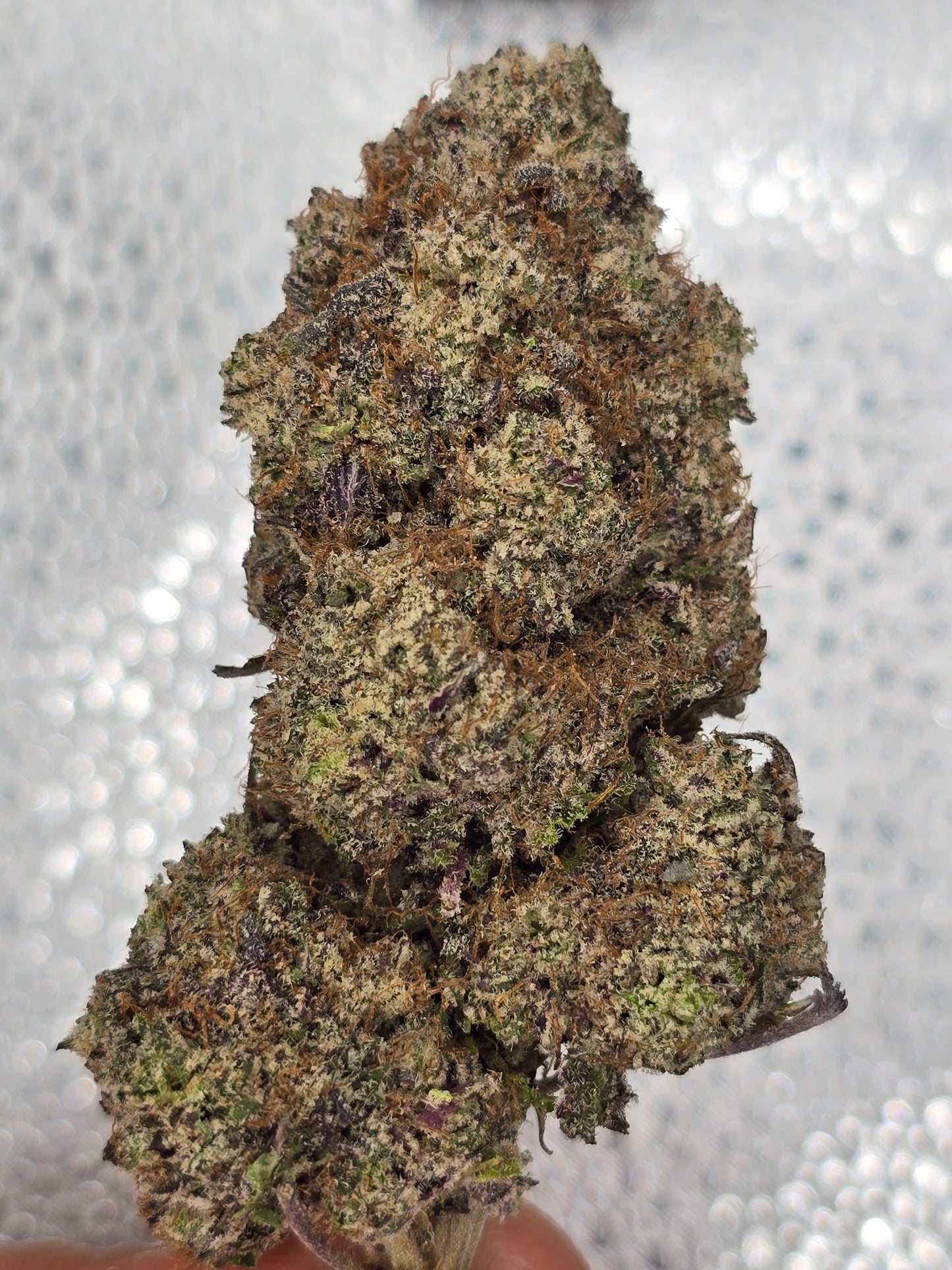 BlackBerry Kush